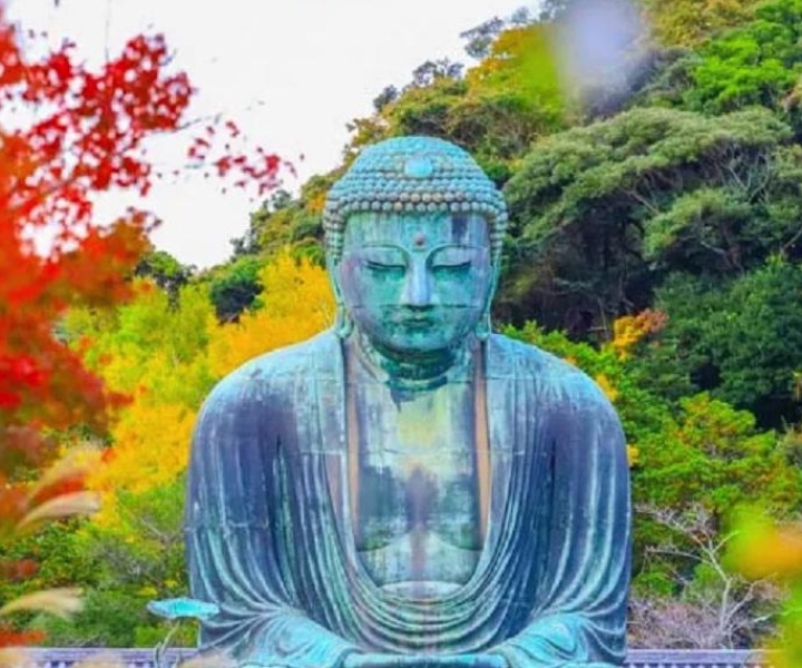 Vanuit Tokio: dagtour Kamakura, Hachimangu-schrijn en Enoshima