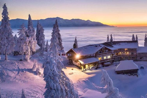 Brașov: Milk Cave Guided Tour with Postăvarul Hut Visit