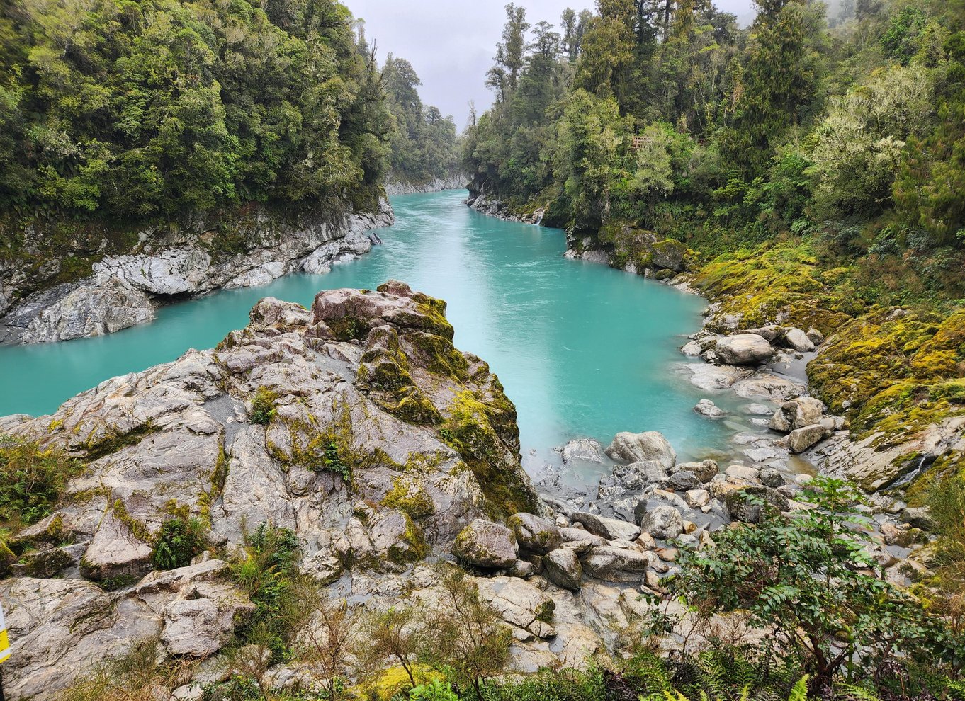 Greymouth: Hokitika Gorge og Tree Top Walkway halvdagstur