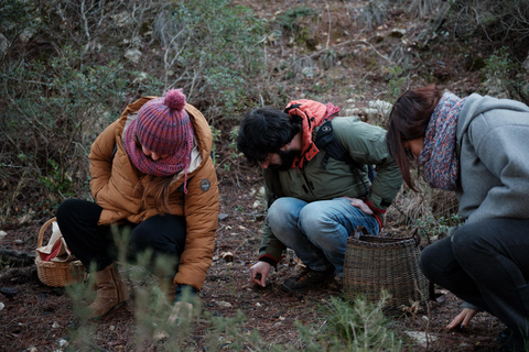 Wild walk: discover the local wild flora