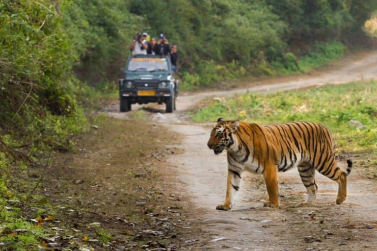 De Deli: Excursão de 2 noites ao Parque Nacional Jim Corbett