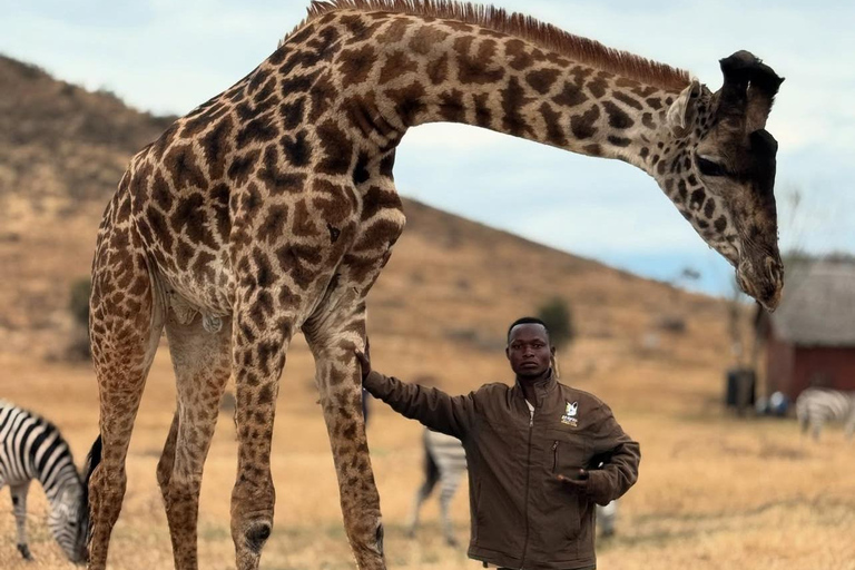 Moshi/Arusha : Day trip serval wildlife & Masai village tour Moshi / Arusha: Visit to Maasai Village