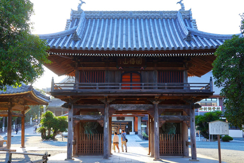 1-Day Tour from Nagoya: Korankei Gorge & Inari Fox Shrines