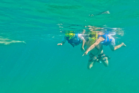 Ft Lauderdale: Combo Deal Snorkel Reefs, Kayak/SUP Mangroves