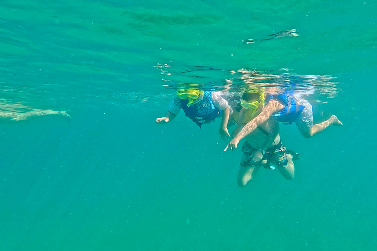 Ft Lauderdale: Combo Deal Snorkel Reefs, Kayak/SUP Mangroves
