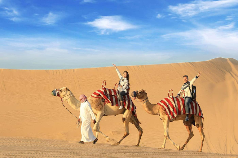 Depuis l'aéroport de Doha Demi-journée de safari dans le désert avec balade à dos de chameauDepuis l'aéroport de Doha Safari dans le désert d'une demi-journée avec promenade à dos de chameau