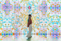 Amsterdam, Moco Museum Entrance Tickets with Banksy & More - Housity