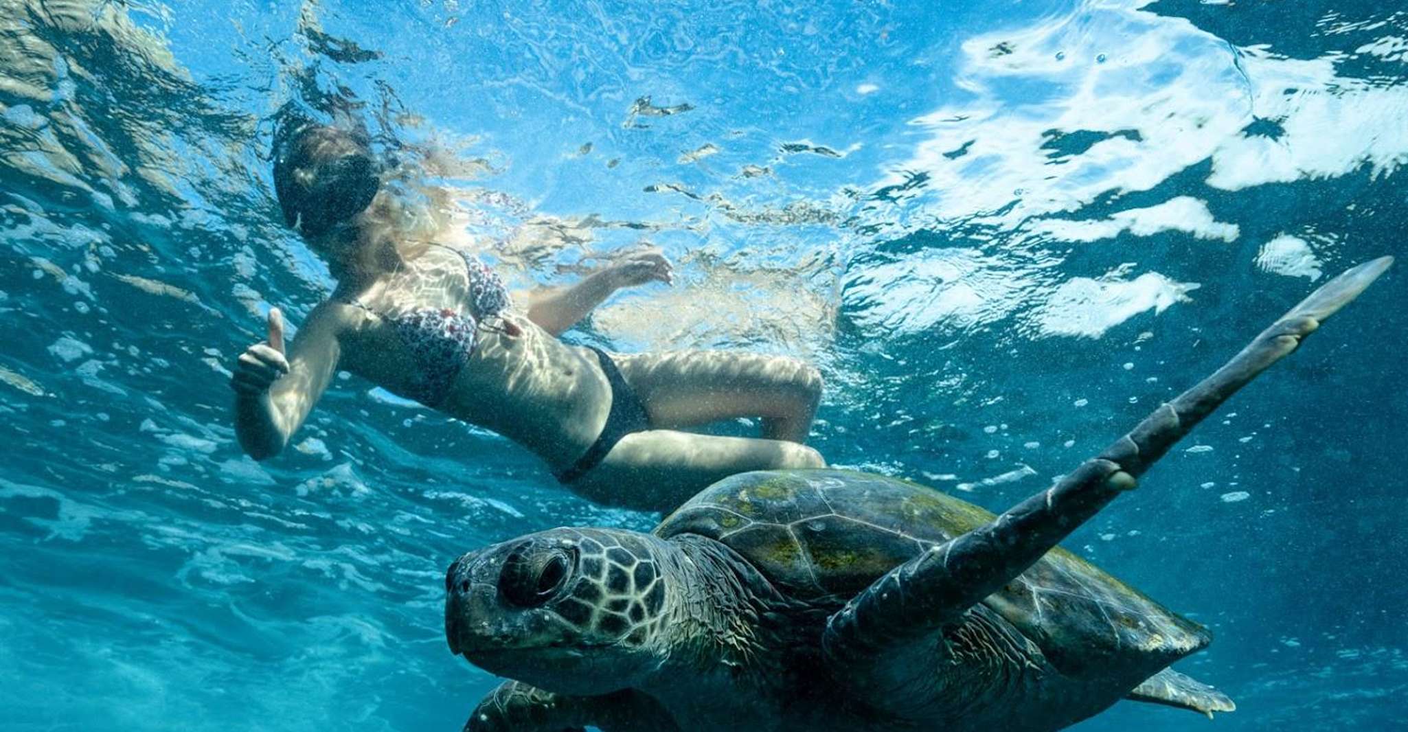 Byron Bay: Snorkeling Tour at Julian Rocks, Nguthungulli photo 1