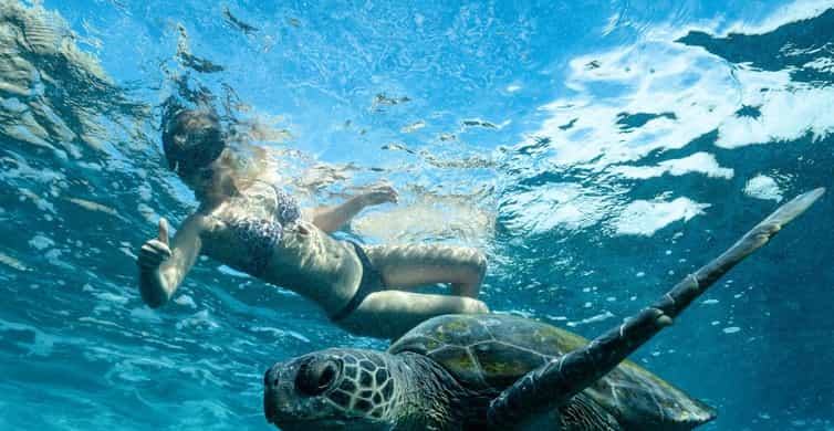 Byron Bay: Snorkeling Tour at Julian Rocks, Nguthungulli