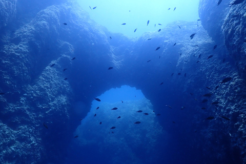 Zakynthos: Small-Group Scuba Diving for All Levels Zakynthos: Discover Scuba Diving Experience with Photos
