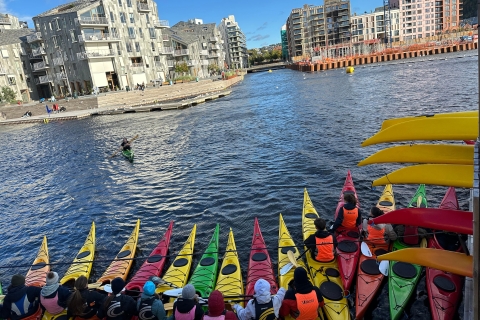Excursión de 2 horas en kayak de mar por Oslo2 horas de kayak de mar en Oslo