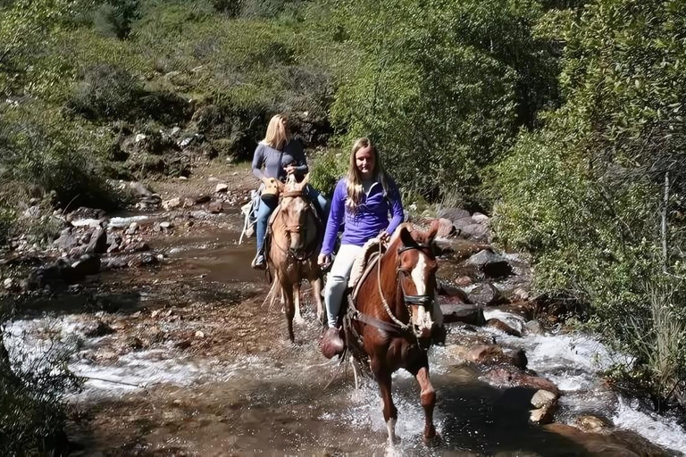Peru: Enchanting 2-Hour Horse Ride in Yanahuara Village Peru: 4-Hour Riverside Path and the Salinas Salt Pans