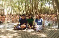 Baru, Playa Blanca + Aviary com Almoço do Caribe - Housity