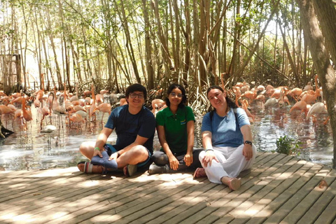 Cartagena: Transport zum Vogelhaus auf der Insel Barù