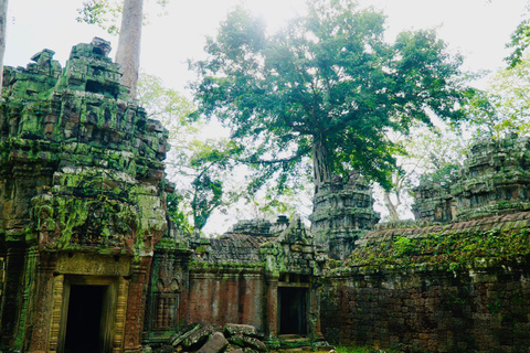 Siem Reap: Angkor Wat‑deutschgeführte Touren Siem Reap: Angkor Wat, Ta Prohm, & Angkor Thom Tour-Car