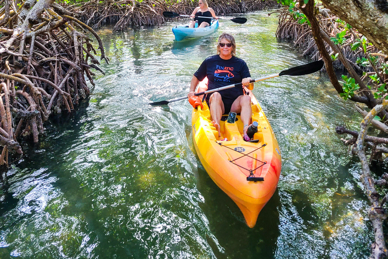 Sarasota: Lido Key Mangrove Tunnel Kayak or Paddleboard Tour Paddleboard