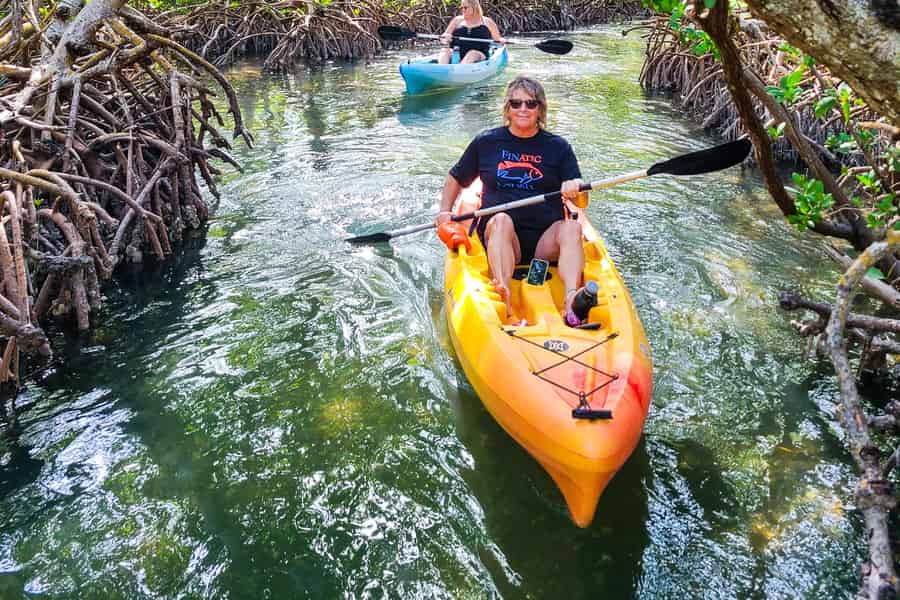 Sarasota: Lido Key Mangroventunnel Kajak- oder Paddleboard-Tour. Foto: GetYourGuide Sarasota: Lido Key Mangroventunnel Kajak- oder Paddleboard-Tour. Foto: GetYourGuide