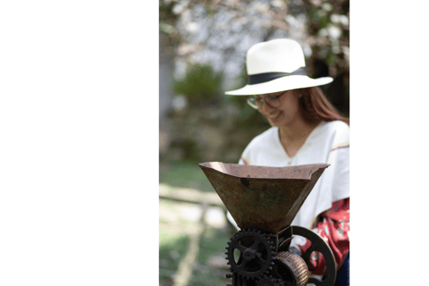 Medellín: Santa Elena Coffee Farm Tour w/Lunch & Transfer