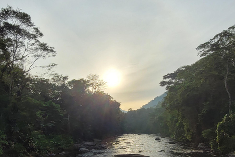 ATLANTIC FOREST TOUR WITH WATERFALLS - THE GOLD TRAIL