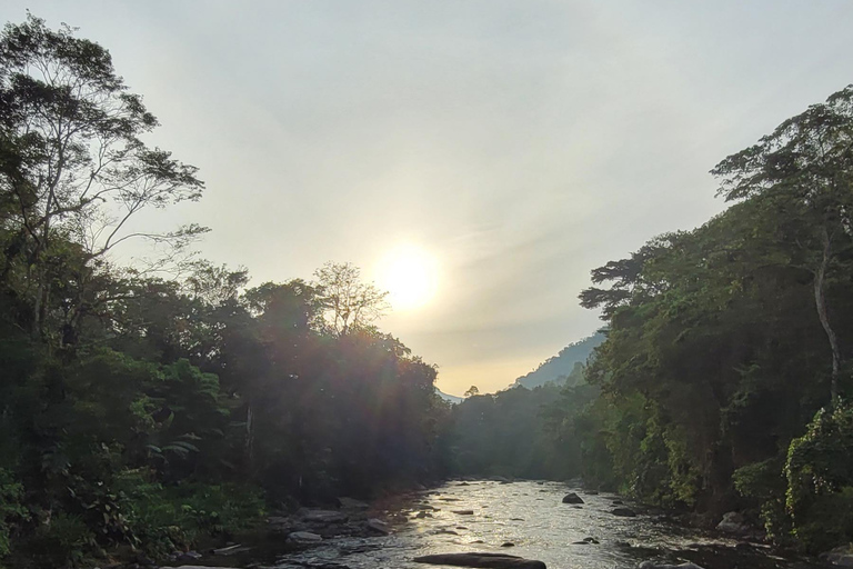 ATLANTIC FOREST TOUR WITH WATERFALLS - THE GOLD TRAIL