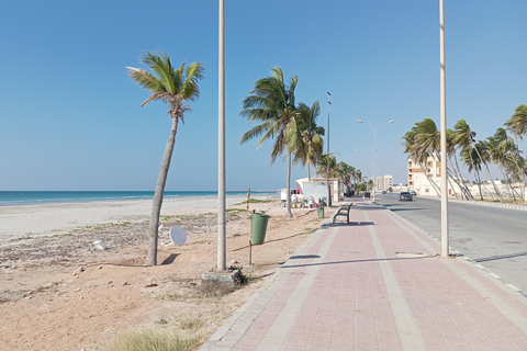 Dhofar: Salalah City and East Salalah Private Tour