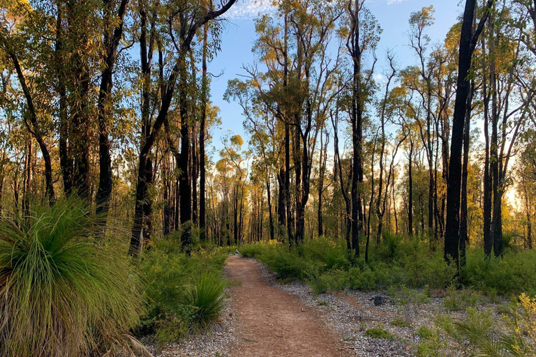 Darling Range Twilight Wander