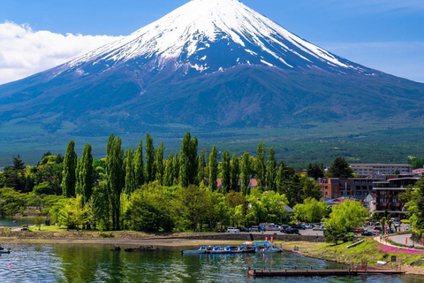 Tóquio: Monte Fuji: melhor passeio turístico Tour particular com guiaMercedes benz de luxo para 3 pessoas