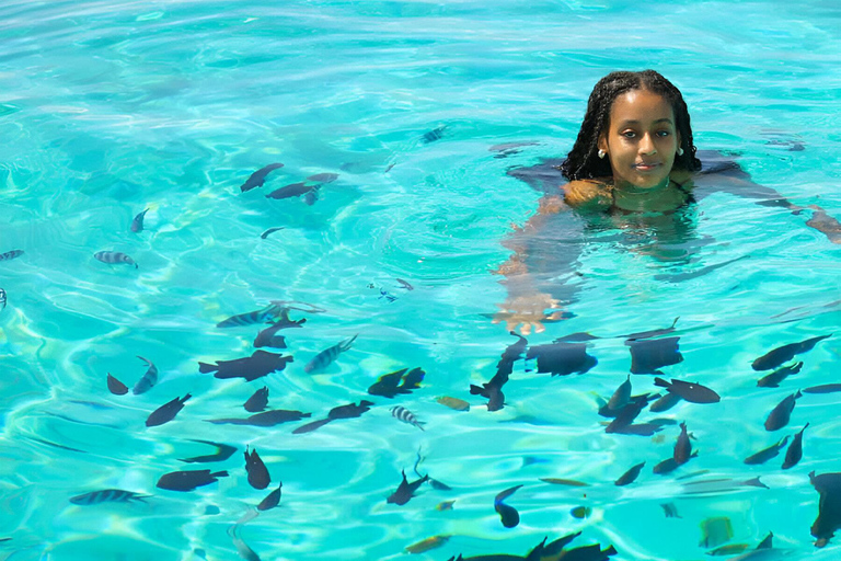 Prison Island & Nakupenda Sandbank With Lunch and entry fees Group Tour : Prison Island Only with entry fees