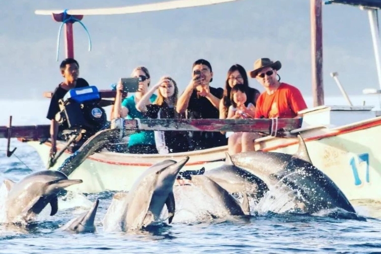 Nager avec les dauphins, Ulundanu Bratan et la cascade de BanyumalaNager avec les dauphins Rendez-vous sur place