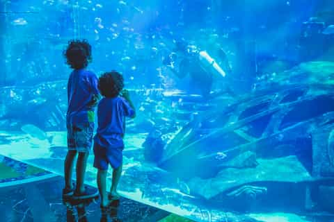 Dubai: Aquarium & Burj Khalifa Level 124 or 125 Combo Ticket