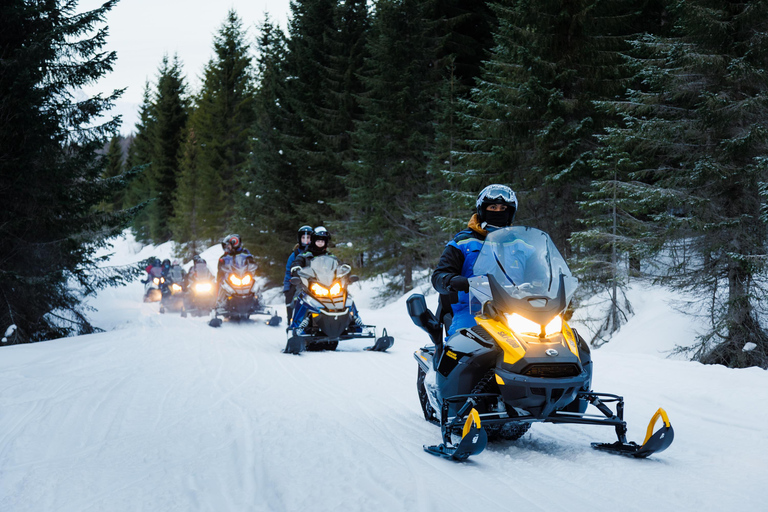 Tromsø: Lyngen Alps Snowmobile Tour with Soup &amp; Drinks