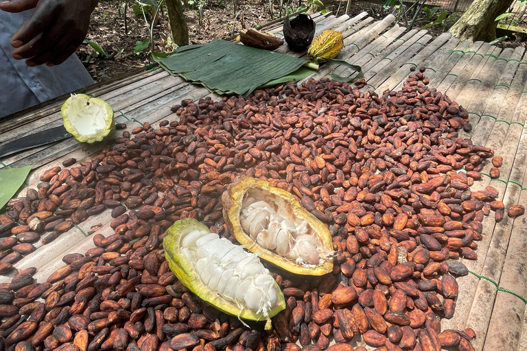 أكرا: جولة سياحية في غانا لمدة 7 أيام