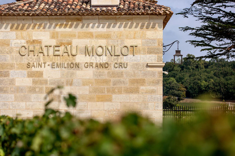 Saint-Emilion: Vineyard Visit and Gourmet Picnic Basket Saint-Emilion: Vineyard Tour and Gourmet Picnic Basket
