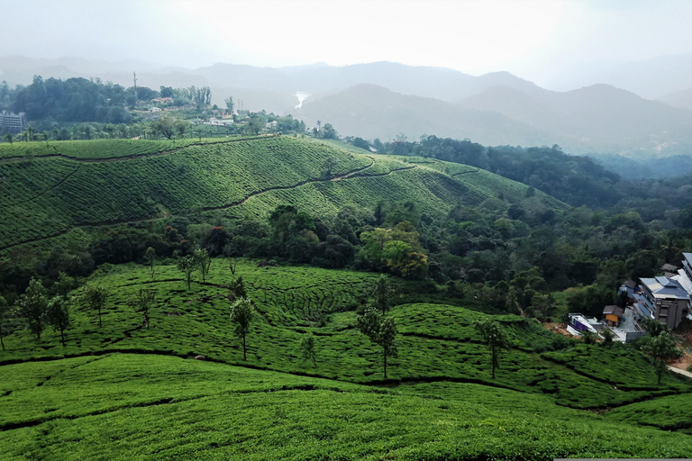 Tour particular de 5 dias em Kerala com ingressos para passeios turísticos