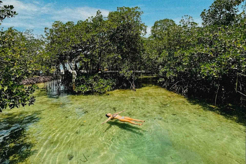 Bocas del Toro: Apeneiland en Cayo Koraal Rondvaart