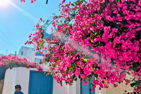 Santorini: From Reel to Real – Private Tour of Hidden Gems Santorin : visite privée en français – joyaux cachés