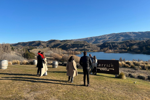 Queenstown: 2 Wine Regions & Wine Cave Tour - Local NZ Guide