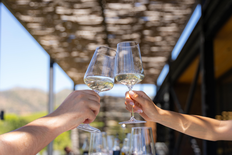 Curacaví Valley: Private Wine Tour of Viña Lopez Pangue and El Cuadro Curacaví Valley: Private Wine Route Tour - Viña Lopez Pangue and El Cuadro