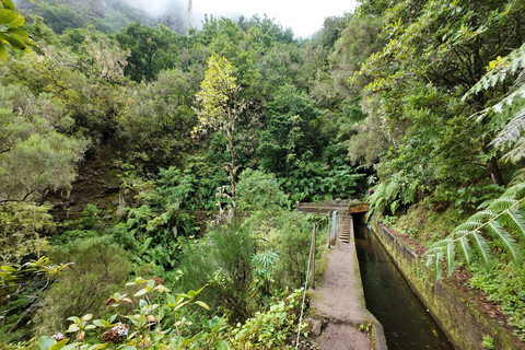 Madeira: PR17 Bica da Cana Encumeada Guided Hike with Pickup Madeira: Bica da Cana to Encumeada Guided Hike with Pickup
