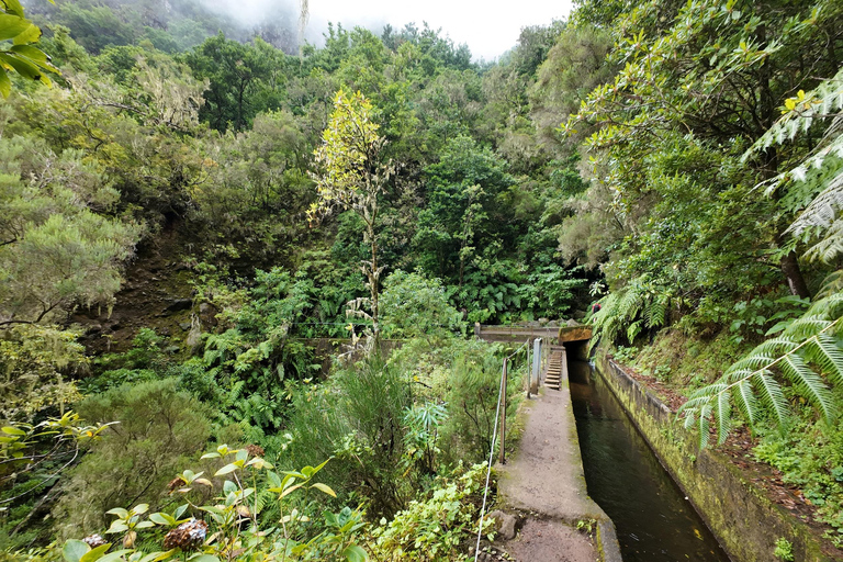 Madeira: PR17 Bica da Cana Encumeada Guided Hike with Pickup Madeira: Bica da Cana to Encumeada Guided Hike with Pickup