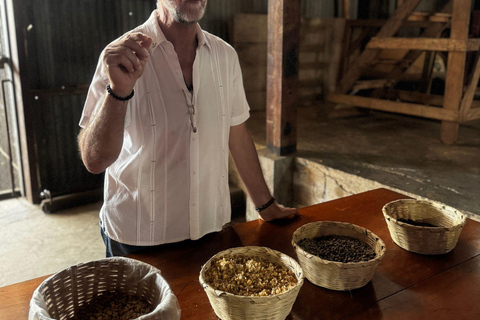 Tapachula: Argovia Coffee, Flowers, and Legacy Tour