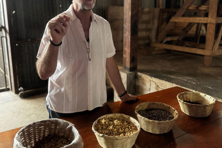 Tapachula: Argovia Coffee, Flowers, and Legacy Tour