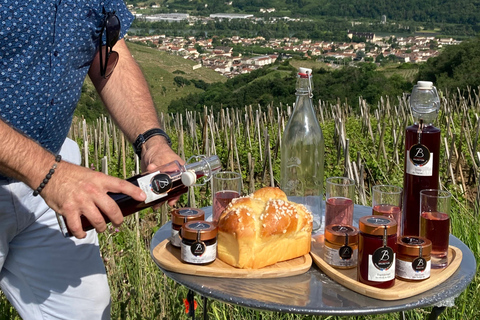 DUO FÖRÄLDRAR BARN VIN CÔTE-RÔTIE TUR BESÖK