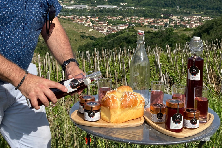 DUO PAIS CRIANÇAS VINHO CÔTE-RÔTIE TOUR VISITA