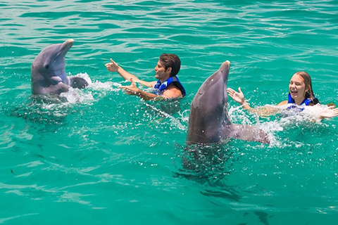 Aventura de nado com golfinhos em Punta Cana: Experiência com golfinhos de 40 minutos