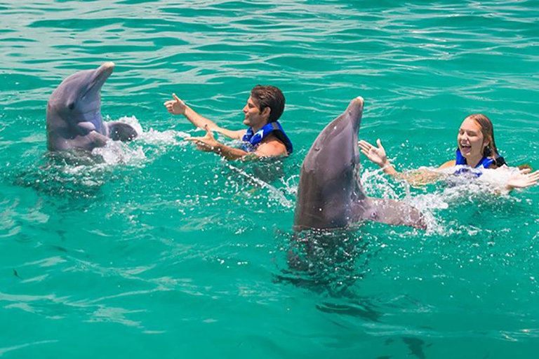 Aventure de nage avec les dauphins à Punta Cana : 40 minutes d&#039;expérience avec les dauphins