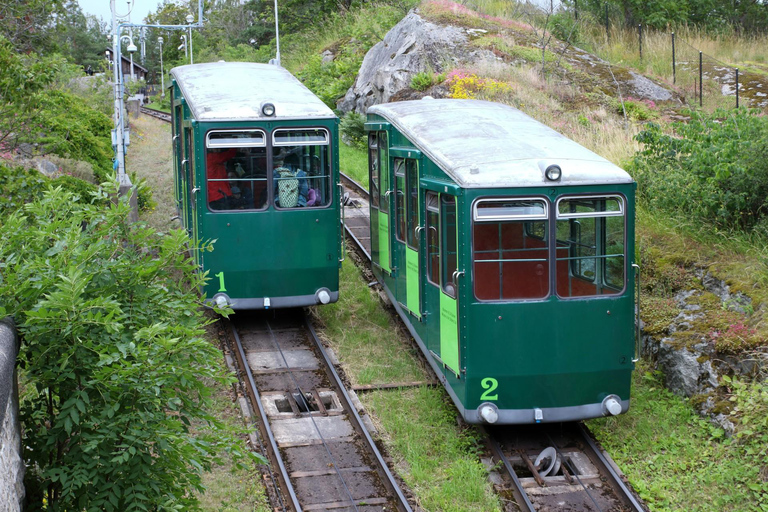 Skansen Stockholm Fast-Track biljetter, privat tur3 timmar: Skansen rundtur