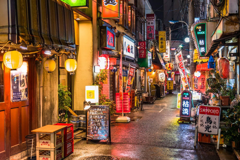 Tokyo: City One Day Private Customizable Top Places Tour
