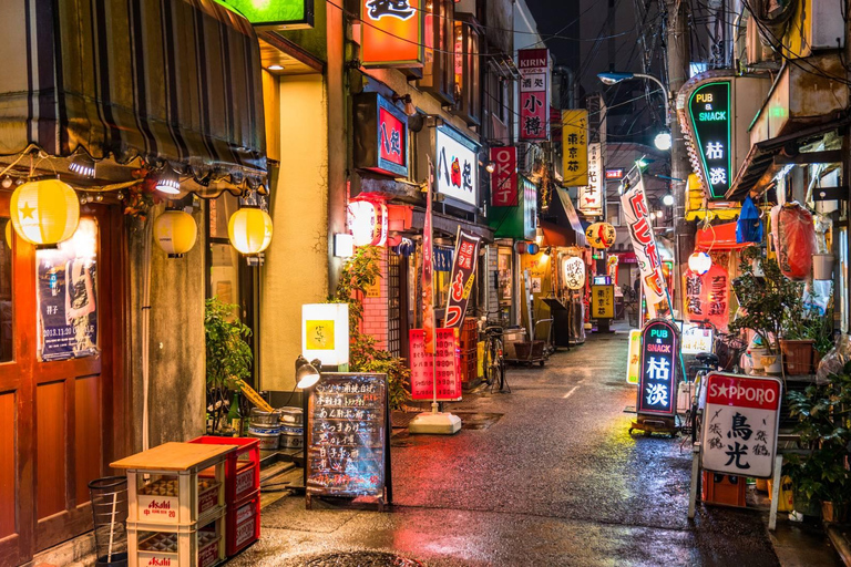 Tokyo: City One Day Private Customizable Top Places Tour