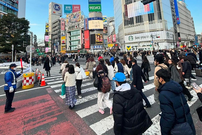 Tour de la ciudad de Tokio con conductor de habla inglesa.